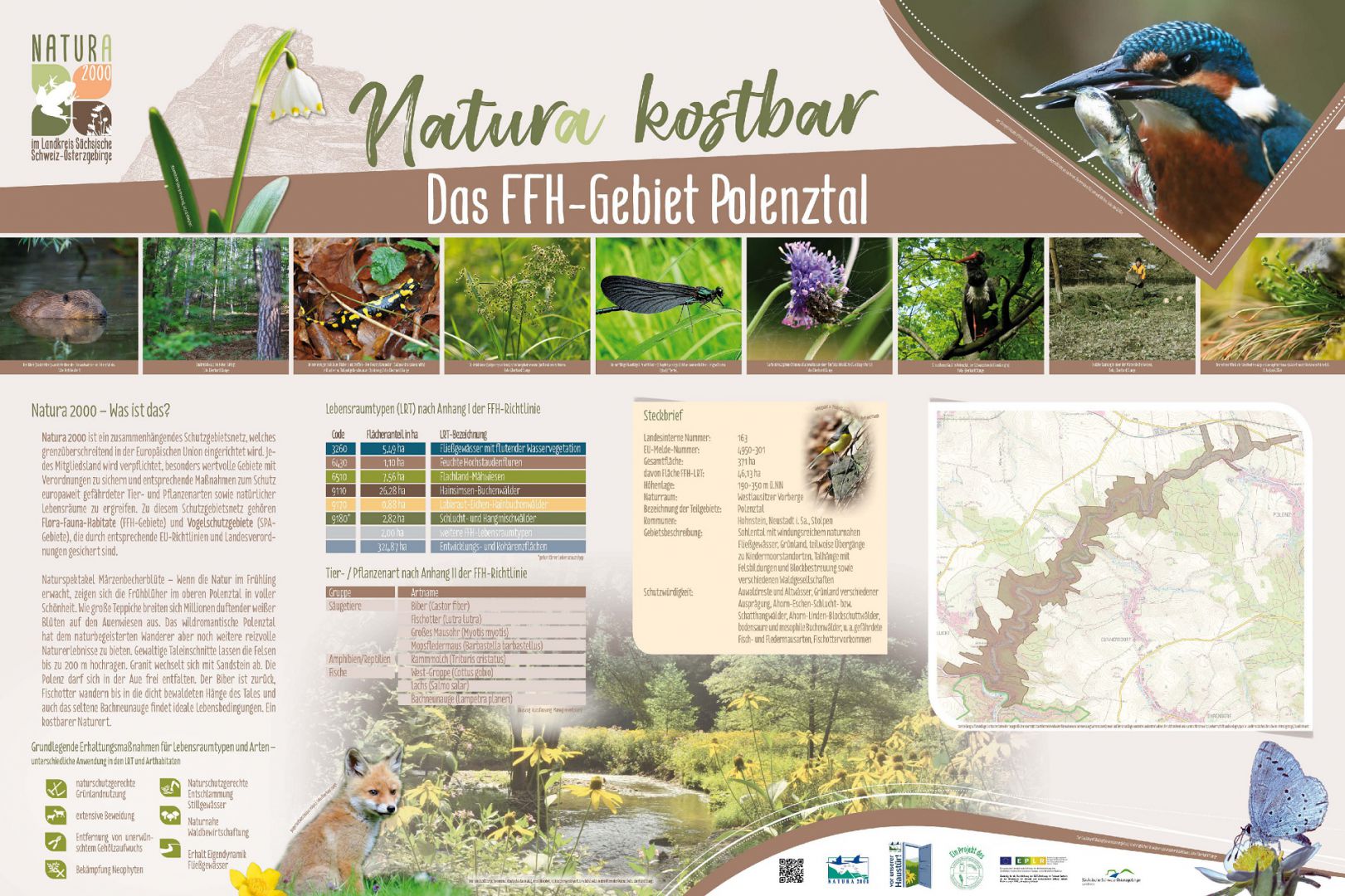tl_files/downloads/Bilder Projekte/Projektstellen/Natura 2000 1.0/Tafeln/Tafel_Polenztal.jpg
